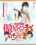 蜜恋甜妻傲娇帝少 轻轻宠