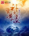 玄黄中药的功能