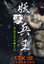 妖孽兵王全集