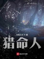猎命人永恒之火TXT
