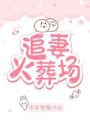 追妻火葬场晋江完结