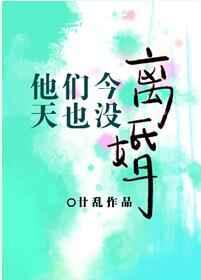 他们今天也没离婚全文阅读
