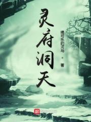 灵府洞天全文免费阅读