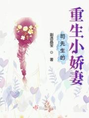 司先生宠妻百分百