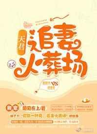 追妻火葬场的电视剧