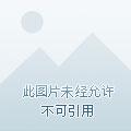 重生之激荡岁月txt