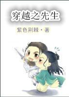 穿越之先生txt资源