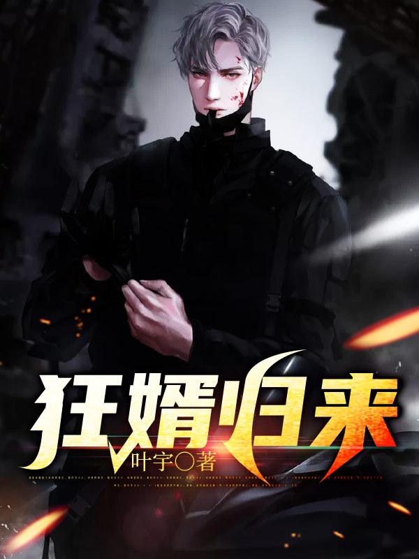 都市狂婿归来