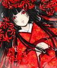 樱花少女女团
