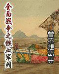 全面战争1924
