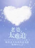 老婆太难追临渊鱼儿晋江