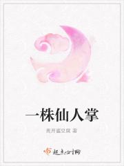 仙人掌多少钱