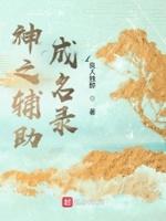 神辅助是什么意思