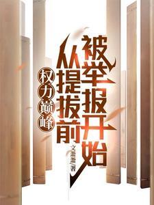 权力巅峰正文