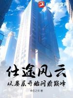 仕途风云笔趣阁