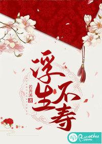 浮生未歇是个什么故事