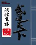 武道天下免费