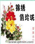 锦绣俏玲珑(苹果)