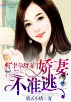 巜幸孕宠妻