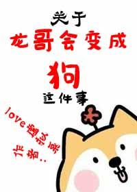 主角是龙哥的