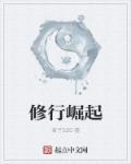修真崛起记