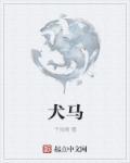 犬马之年