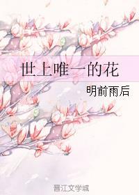 世界上唯一的花mv