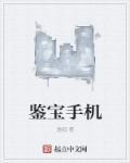鉴宝的app