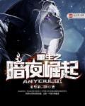 重生之暗夜崛起TXT精校版