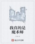 我是魔术师还真是对不起了