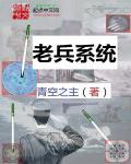 老兵kv 1
