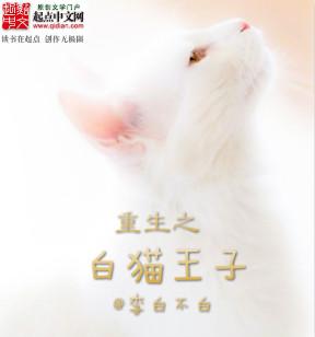 白猫王子阅读感悟