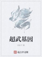 石榴小皇后晋江