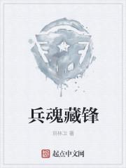 兵魂之弋