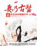 妻乃鬼面将军 作者宫槐知玉