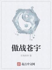 傲武苍穹