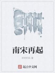 南宋的开始