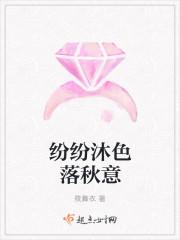 纷纷落叶是什么意思