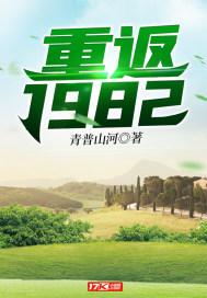 重返1982全文免费阅读叶泽