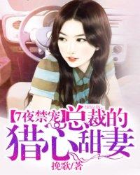 总裁七夜守则落秋