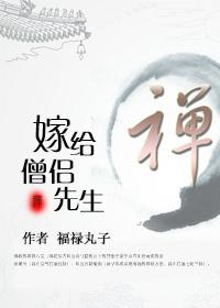 嫁给僧侣先生全文阅读