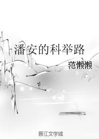 潘安的科举路书包网
