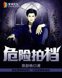 危险拍档类似