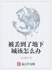 地下城被盗怎么办