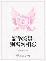 韶华流转意思